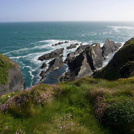 Galley Head Lightkeeper'S Houses Donoure ภายนอก รูปภาพ