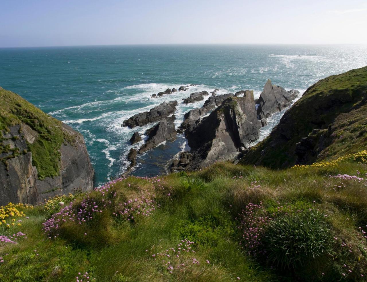 Galley Head Lightkeeper'S Houses Donoure ภายนอก รูปภาพ